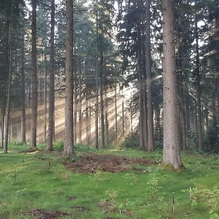 Kuckuckstraum Διαμέρισμα *