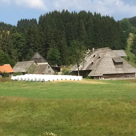 Kuckuckstraum Διαμέρισμα