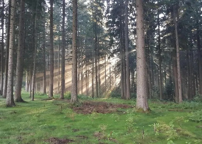 Kuckuckstraum 아파트 *