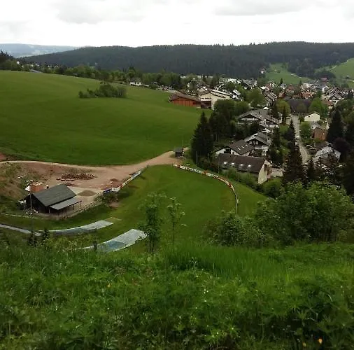 Kuckuckstraum Lägenhet *