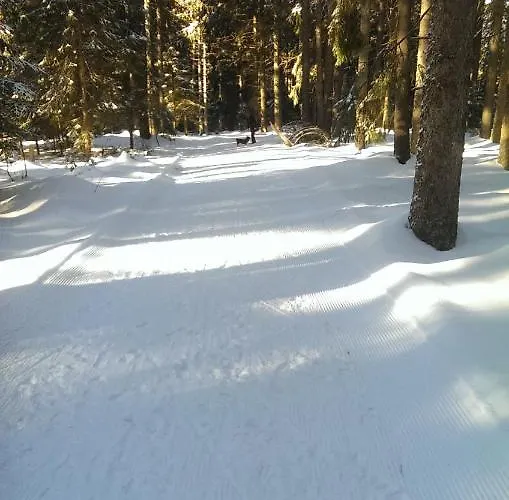 Kuckuckstraum 아파트